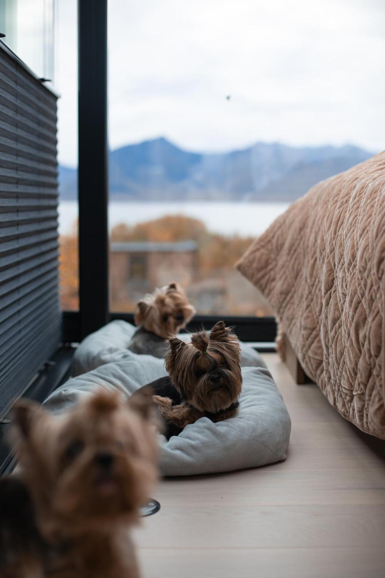 Wonderinn Arctic Utstrand Екстериор снимка